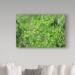 Millwood Pines ' meadow' Photographic Print on Wrapped Canvas Metal in Green | 22 H x 32 W x 2 D in | Wayfair 05AC2CB6551244B0840F466E2EFB44EA