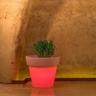 Idralite - Vaso con Led in resina h 45 mod. Begonia Tondo lampada rossa