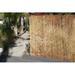 Backyard X-Scapes 6 ft H x 16 ft W Coffee Reed Fencing Decorative Screen Fence Panel Bamboo & Reed in Brown | 72 H x 192 W x 0.125 D in | Wayfair
