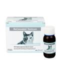 Reconvales Tonicum für Katzen 6x45 ml Tonikum