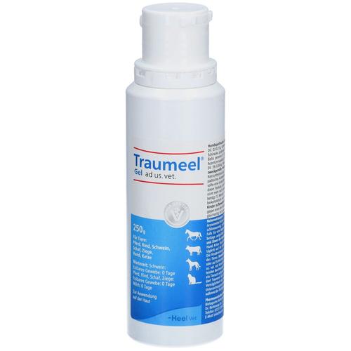 Traumeel Gel ad us.vet. 250 g