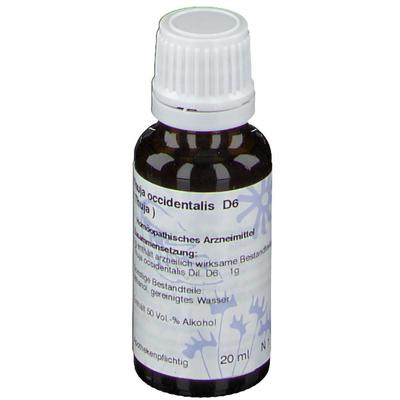 Thuja D 6 Dilution 20 ml Image