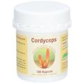 Cordyceps Sinensis Kapseln 100 St