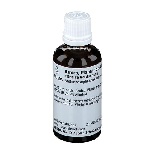 Arnica Planta tota D 6 Dilution 50 ml