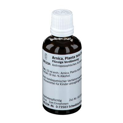 Arnica Planta tota D 6 Dilution 50 ml Image