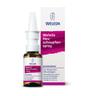 Heuschnupfenspray 20 ml Nasenspray