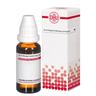 Cimicifuga D 6 Dilution 20 ml