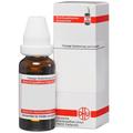 Acidum Hydrochloricum D 6 Dilution 20 ml