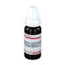 Ruta D 3 Dilution 20 ml