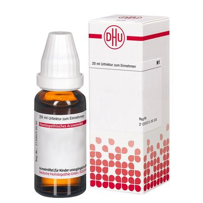 Fucus Vesiculosus Urtinktur 20 ml Dilution Image