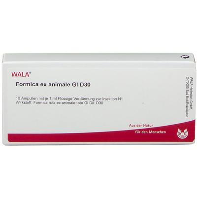 Formica EX animale GL D 30 Ampullen 10x1 ml Image