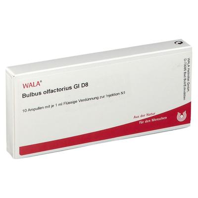 Bulbus Olfactorius GL D 8 Ampullen 10x1 ml Image