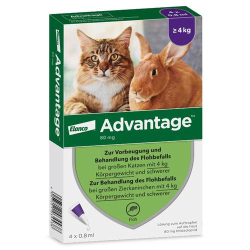 Advantage 80 mg f.gr.Katzen u.gr.Zierkaninchen 4x0,8 ml Lösung