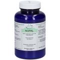 Nopal Kaktus Pulver 100 g