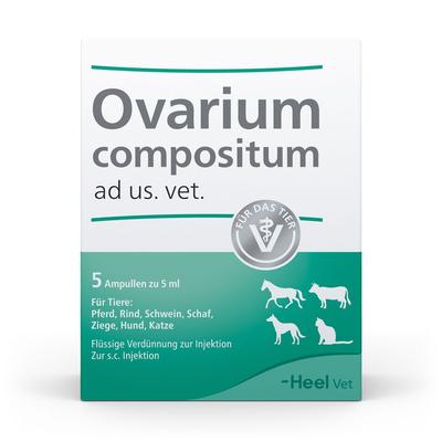 Ovarium Compositum ad us.vet.Ampullen 5x5 ml Ampullen Image