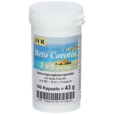 Beta Carotin 1x1 pro Tag Kapseln 100 St Image