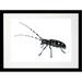 Millwood Pines Asian Long-Horned Beetle Watercolor Painting Print Paper/Metal in Black/White | 12 H x 16 W x 1 D in | Wayfair