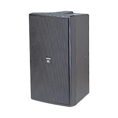 JBL C29AV-1 Control 2-Way Indoor/Outdoor Speaker - Black