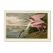 Bay Isle Home™ Roseate Spoonbill by John James Audubon - Painting Print Canvas in White | 30 H x 47 W x 2 D in | Wayfair