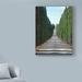 Fleur De Lis Living 'Trip Tree Path' Photographic Print on Wrapped Canvas Metal in Blue/Gray/Green | 32 H x 24 W x 2 D in | Wayfair