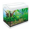 Acquario Tetra aqua art Led 20 Lt Bianco