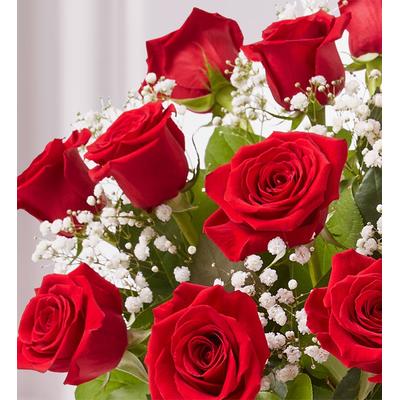 1-800-Flowers Flower Delivery Red Roses Gift Club 6 Months