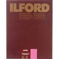 Ilford Multigrade FB Warmtone Paper (Glossy, 20 x 24" , 50 Sheets) 1865619