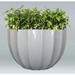 Allied Molded Products Miami Composite Pot Planter Composite in Orange/White | 36 H x 60 W x 60 D in | Wayfair 1SU-6036-PD-15