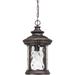 Astoria Grand Baxter 1-Light Outdoor Hanging Lantern Glass/Aluminium/Metal in Brown/Gray | 19 H x 11 W x 11 D in | Wayfair ASTG4472 33133633