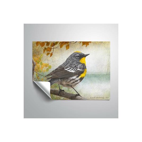 charlton-home®-raftery-wetland-warble-removable-wall-decal-metal-in-gray-yellow-|-24-h-x-32-w-in-|-wayfair-0d6b7ea250274ff4be8629fad9279d8a/