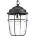 Breakwater Bay Kearney Black 1 -Bulb 16.75" H Outdoor Hanging Lantern Glass/Aluminium/Metal in Black/Gray | 16.75 H x 10.5 W x 10.5 D in | Wayfair