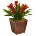 Bay Isle Home™ Triple Bromeliad Floral Arrangement in Planter Polyester/Faux Silk/Plastic/Fabric in Red | 18 H x 14 W x 14 D in | Wayfair