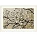 Great Big Canvas 'Dogwood I by Alan Hausenflock Photographic Print in Brown | 28 H x 38 W x 1 D in | Wayfair GE0170208_21_30x20