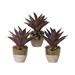 World Menagerie Aloe Succulent Floor Plant in Planter Ceramic/Plastic | 12 H x 10 W x 10 D in | Wayfair C7CA50DF319F4A0B949B4B18F2D685A7