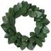 Primrue 20" Diane Artificial Magnolia Leaf Wreath in Green | 20 H x 20 W x 6 D in | Wayfair 458CD4C4C3754AA7A63F3C99737C2BCE