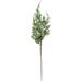 Millwood Pines Juniper Pine Birch Plant Plastic | 19 H x 6 W x 3 D in | Wayfair 060BFE0C2DE3492D801BCCC5683F690B