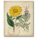 Courtside Market 'Botanical Repertoire III' Vintage Advertisement on Wrapped Canvas Canvas | 20 H x 16 W x 1.5 D in | Wayfair WEB-CE109