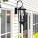 Three Posts™ Lubbers 3 - Bulb Outdoor Wall Lantern Glass/Metal in Black | 28.75 H x 10 W x 12.75 D in | Wayfair 9795EF96281B4188A0FA41464DBB0C57