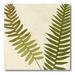 Courtside Market 'Fern Portfolio II' Painting Print on Wrapped Canvas in Green | 16 H x 16 W x 1.5 D in | Wayfair WEB-N113