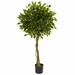 Darby Home Co 5ft. Ficus Artificial Topiary Tree, UV Resistant (Indoor/Outdoor) Silk/Ceramic/Plastic | 60 H x 30 W x 30 D in | Wayfair