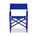 E-Z UP Standard Folding Director Chair Metal in Blue | 35 H x 25 W x 19 D in | Wayfair CHDIRSDBL