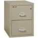 FireKing Fireproof 2-Drawer Vertical File Cabinet Metal/Steel in Gray | 27.75 H x 20.8125 W x 31.5625 D in | Wayfair 2-2131-C (pewter)