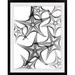 Highland Dunes X-Ray Starfish 'Starfish III X-Ray by Albert Koetsier Photographic Print in Black | 44 H x 35 W in | Wayfair