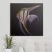 Bay Isle Home™ Wireman Angelfish' by Michael Creese Painting Print | 20 H x 20 W x 1.5 D in | Wayfair 99E2122A346941449A0270EFC179EB8A