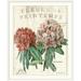 Ophelia & Co. 'Fleur de Printemps' by Sue Schlabach Graphic Art Print Metal in Brown | 38 H x 32 W x 1 D in | Wayfair