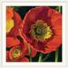 Winston Porter 'Red Poppy Trio I' by Shirley Novak Painting Print in Brown | 38 H x 38 W x 1 D in | Wayfair 1EC1AD8F106643A787538BD753F17867