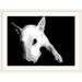 Ebern Designs 'English Bull Terrier' by Francy Graphic Art Print Plastic in Black/White | 34 H x 44 W x 1 D in | Wayfair