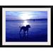 Ebern Designs 'Staffordshire Bull Terrier on Beach' by Francy Graphic Art Print in Blue Plastic in Blue/White | 34 H x 44 W x 1 D in | Wayfair