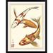 Bay Isle Home™ 'Koi Fish I' Chariklia Zarris Graphic Art Print Plastic | 44 H x 34 W x 1 D in | Wayfair 83F1E7A6E46441D08632B9FA6B874656