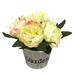 House of Hampton® Peonies Floral Arrangement in Pot Plastic in Yellow | 4.33 H x 2 W x 1 D in | Wayfair HOHM8172 43615052